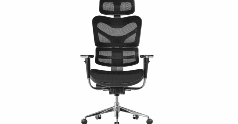 Ergomeister Review: Is This Singapore’s Top Ergonomic Chair?