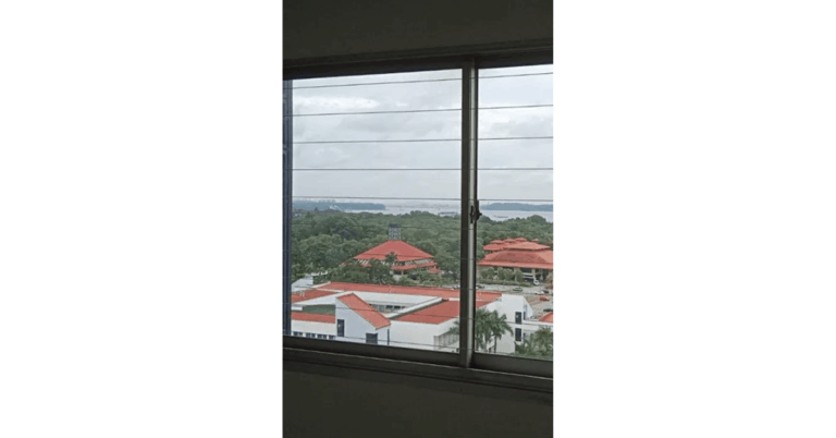 Invisible Grille HDB: The Perfect Blend of Safety, Style, and Serenity